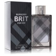 Burberry Brit Rhythm for Him 100 ml мужская туалетная вода